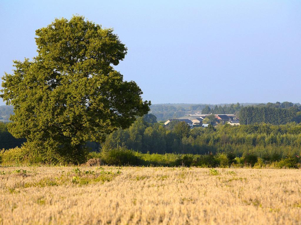 Nice G Te With Private Garden In Br Ly De Pesche Couvin Buitenkant foto